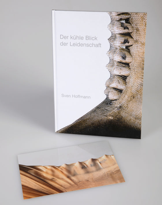Der kühle Blick der Leidenschaft