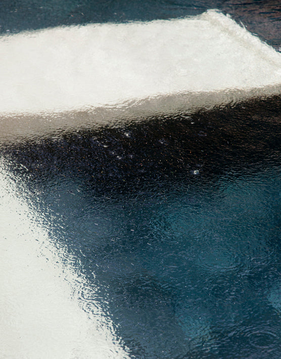 WATER PLACES Limited Edition