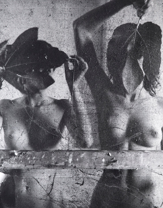 Karin Székessy - Motiv No. 7: "Feigenblätter"