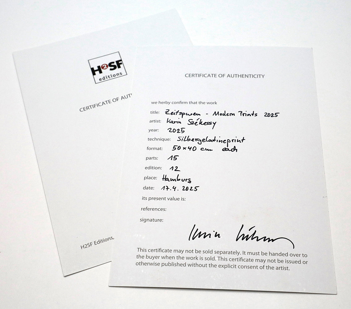 Karin Székessy - Motiv No. 13: "Im Studio"