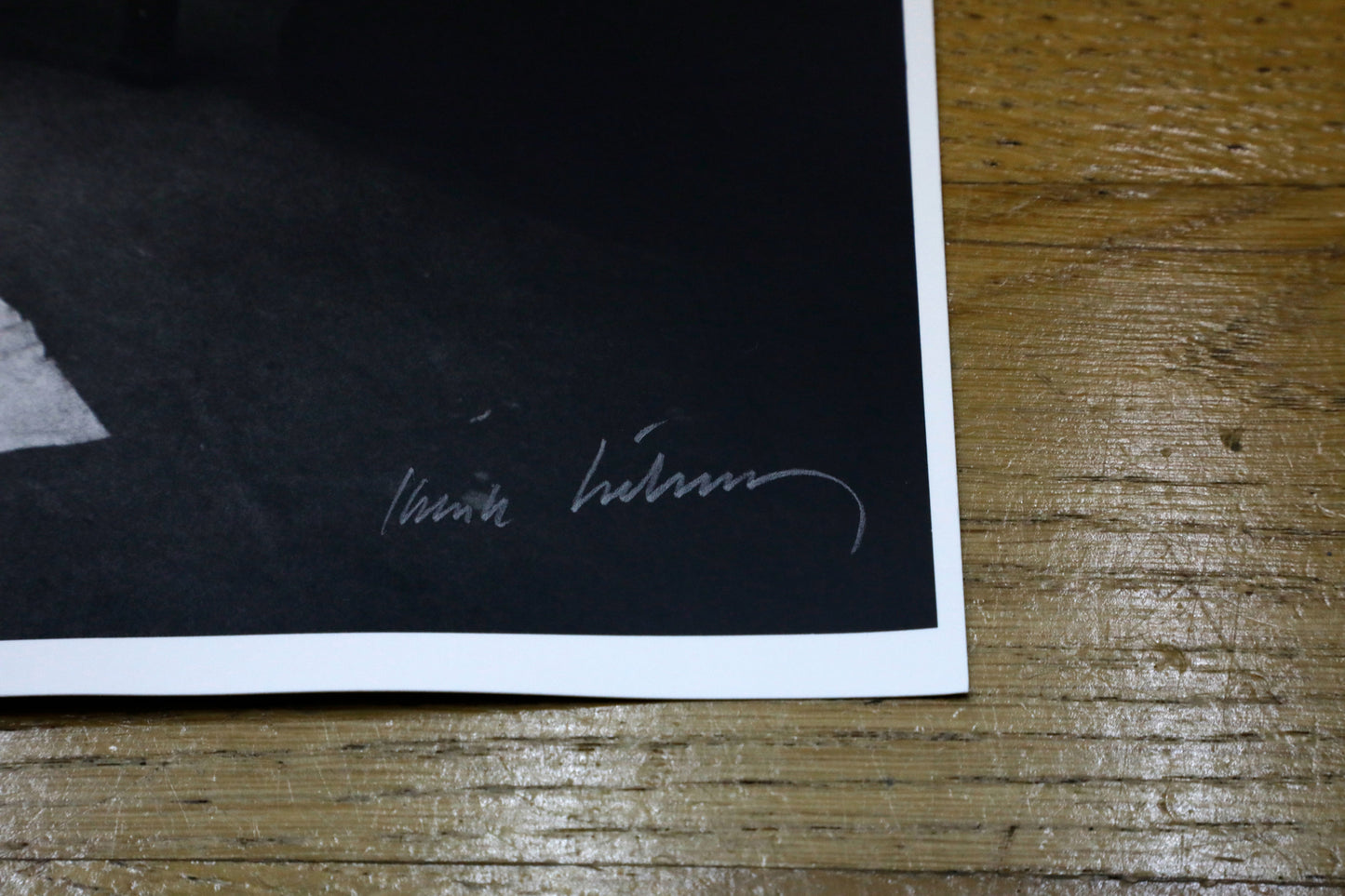 Karin Székessy - Motiv No. 8: "La belle et la bête"