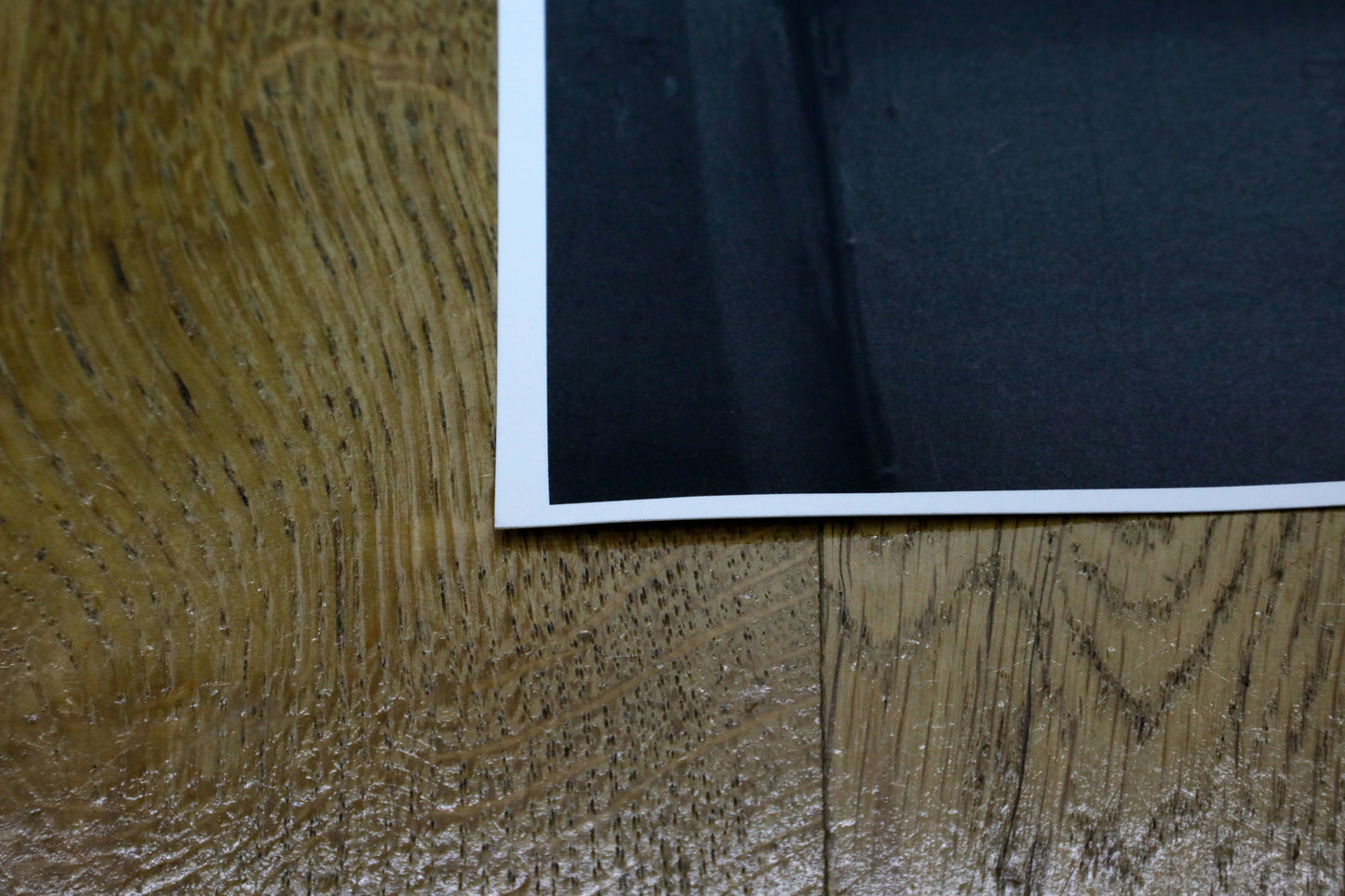 Karin Székessy - Motiv No. 8: "La belle et la bête"