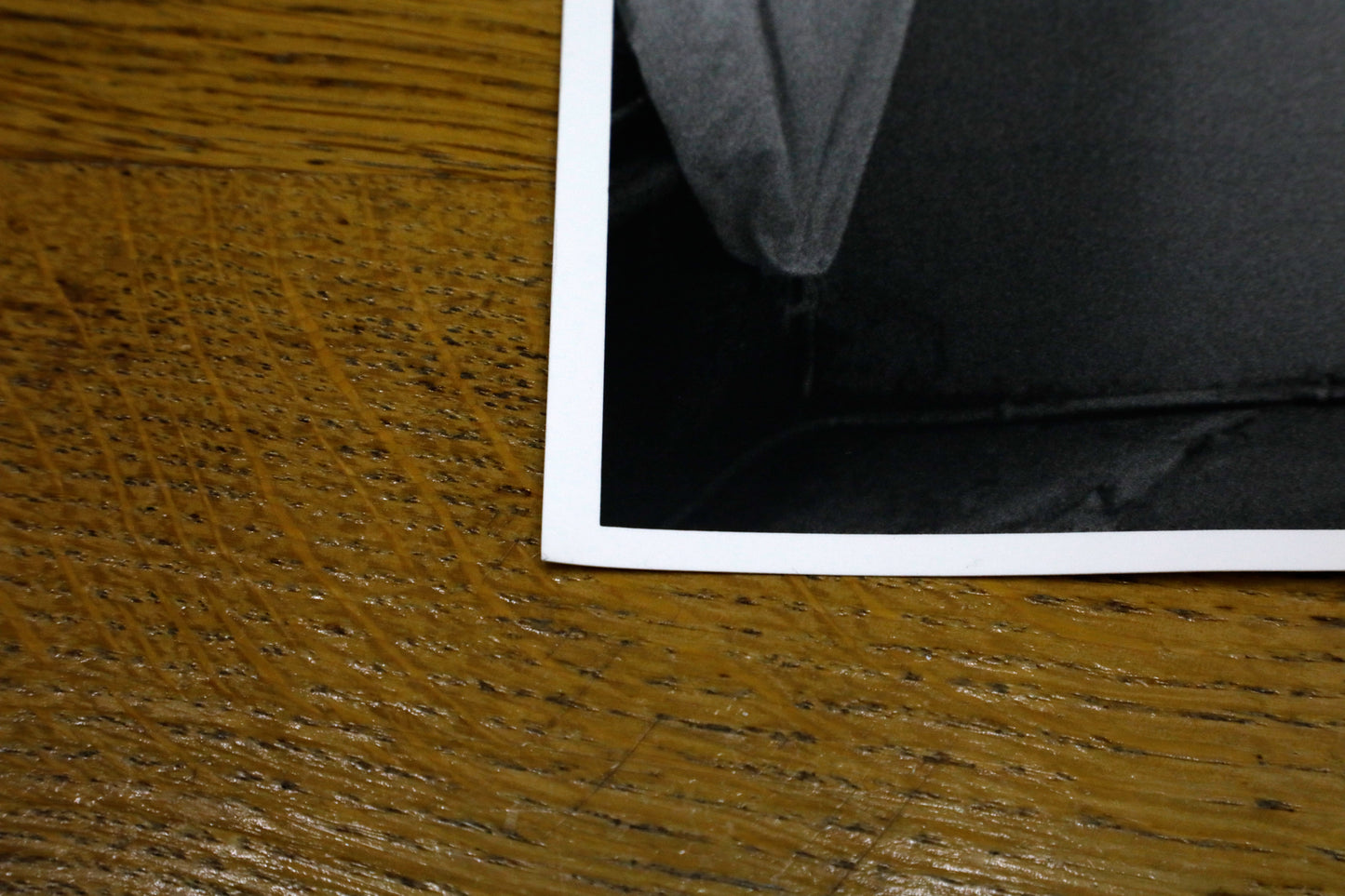 Karin Székessy - Motiv No. 8: "La belle et la bête"