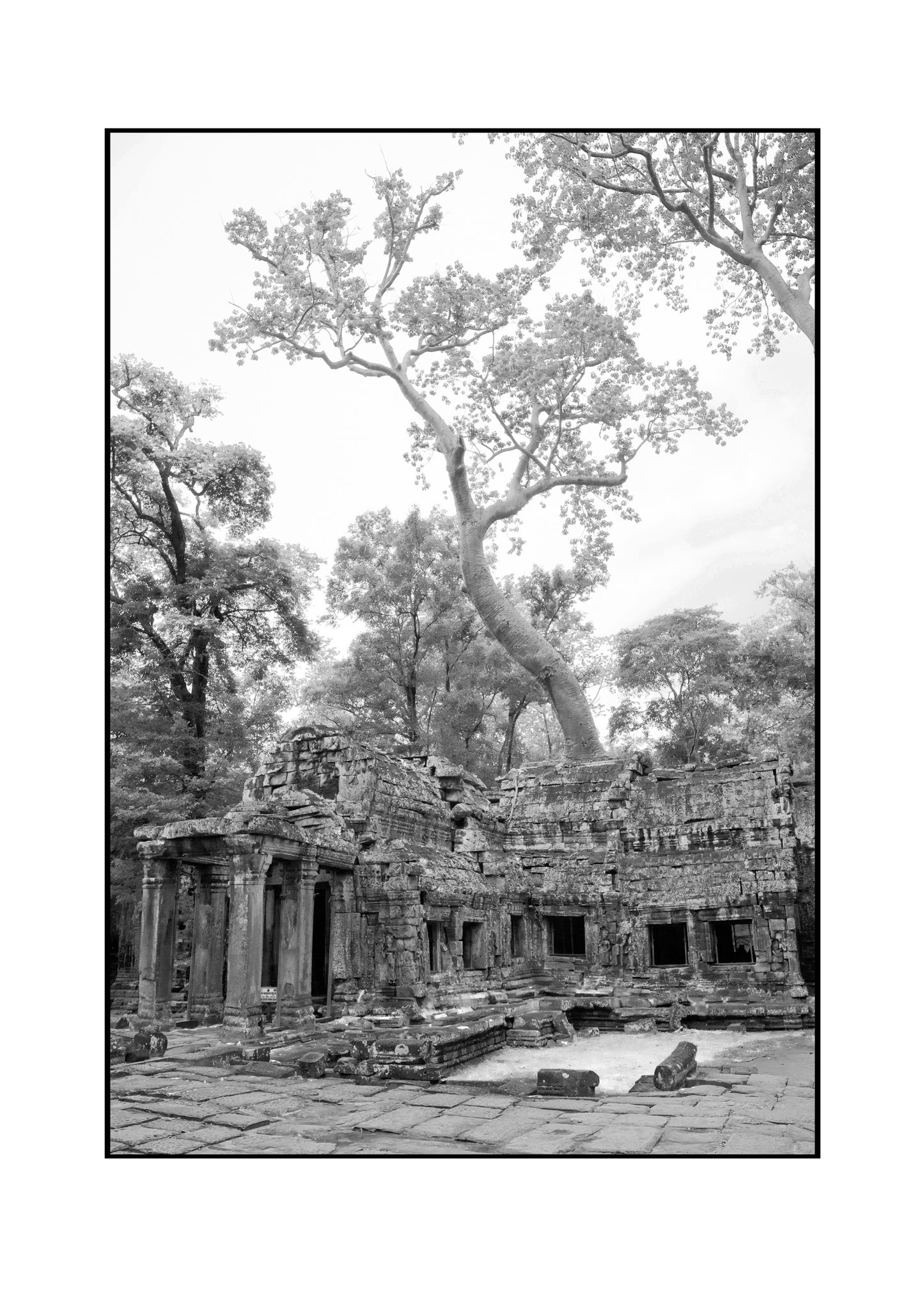 Angkor Wat - Limited Edition