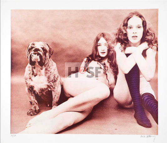 „Large-format black and white collotype print '2 Modelle und Anton' by Karin Székessy, 56 x 64 cm. Hand-signed and numbered 36/50. The image features two female figures and a dog, rendered in the soft, screenless textures of a professional collotype.“